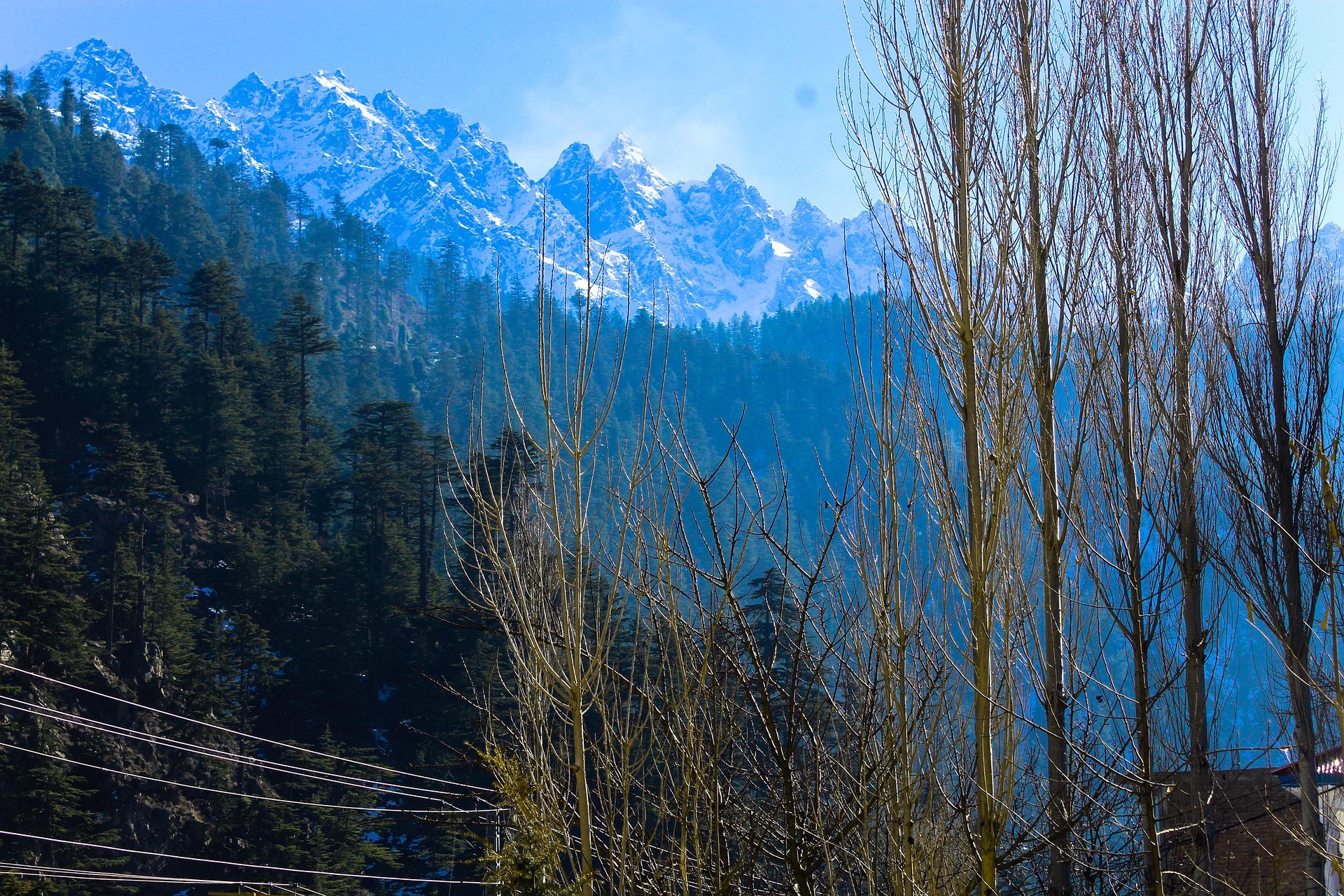 Trails Through the Mountains Of Pakistan